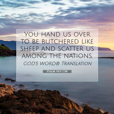 Picture 07 - Psalm 44:11 GW - You hand us over to be butchered like sheep and - Bible Verse Picture
