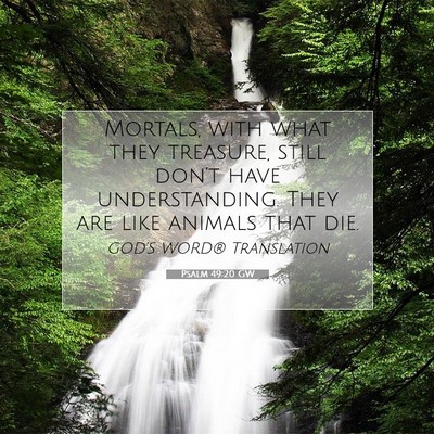 Picture 07 - Psalm 49:20 GW - Mortals, with what they treasure, still don’t - Bible Verse Picture