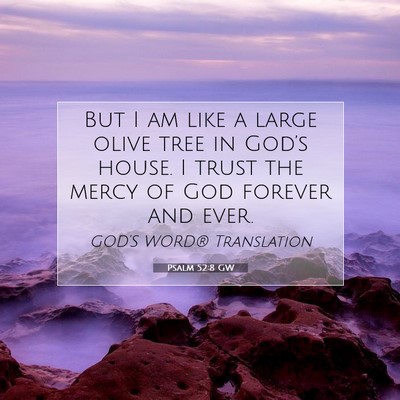 Picture 07 - Psalm 52:8 GW - But I am like a large olive tree in God’s - Bible Verse Picture