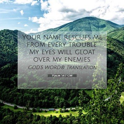 Picture 07 - Psalm 54:7 GW - Your name rescues me from every trouble. My eyes - Bible Verse Picture