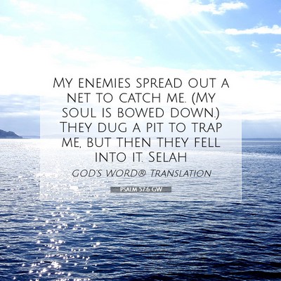 Picture 07 - Psalm 57:6 GW - My enemies spread out a net to catch me. (My soul - Bible Verse Picture