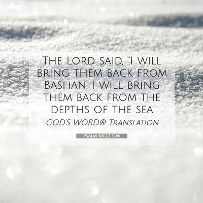 Picture 07 - Psalm 68:22 GW - The Lord said, “I will bring them back from - Bible Verse Picture