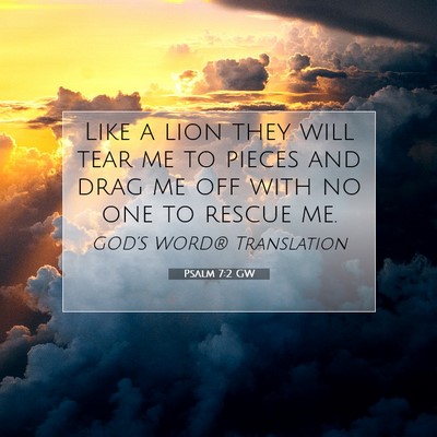 Picture 07 - Psalm 7:2 GW - Like a lion they will tear me to pieces and drag - Bible Verse Picture