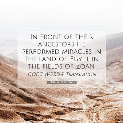 Picture 07 - Psalm 78:12 GW - In front of their ancestors he performed miracles - Bible Verse Picture