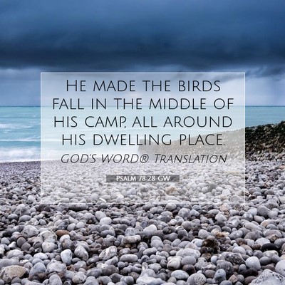 Picture 07 - Psalm 78:28 GW - He made the birds fall in the middle of his camp, - Bible Verse Picture