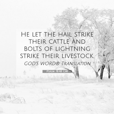 Picture 07 - Psalm 78:48 GW - He let the hail strike their cattle and bolts of - Bible Verse Picture