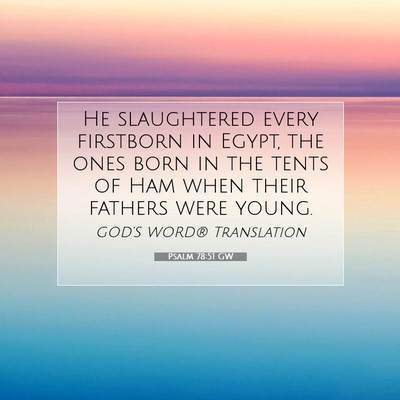 Picture 07 - Psalm 78:51 GW - He slaughtered every firstborn in Egypt, the ones - Bible Verse Picture