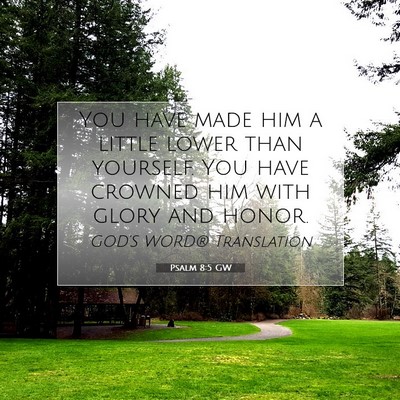 Picture 07 - Psalm 8:5 GW - You have made him a little lower than yourself. - Bible Verse Picture
