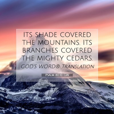 Picture 07 - Psalm 80:10 GW - Its shade covered the mountains. Its branches - Bible Verse Picture