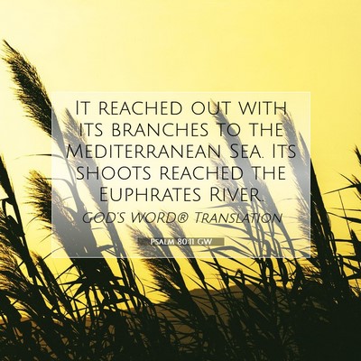 Picture 07 - Psalm 80:11 GW - It reached out with its branches to the - Bible Verse Picture