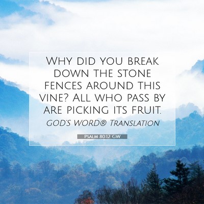 Picture 07 - Psalm 80:12 GW - Why did you break down the stone fences around - Bible Verse Picture