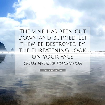 Picture 07 - Psalm 80:16 GW - The vine has been cut down and burned. Let them - Bible Verse Picture