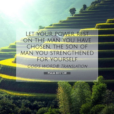 Picture 07 - Psalm 80:17 GW - Let your power rest on the man you have chosen, - Bible Verse Picture
