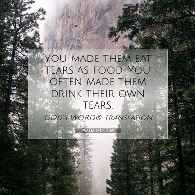 Picture 07 - Psalm 80:5 GW - You made them eat tears as food. You often made - Bible Verse Picture