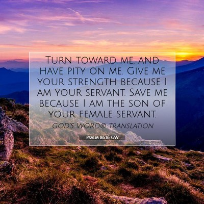 Picture 07 - Psalm 86:16 GW - Turn toward me, and have pity on me. Give me your - Bible Verse Picture