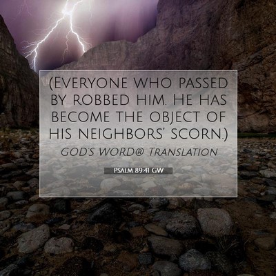 Picture 07 - Psalm 89:41 GW - (Everyone who passed by robbed him. He has become - Bible Verse Picture
