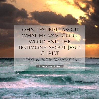 Picture 07 - Revelation 1:2 GW - John testified about what he saw: God’s word - Bible Verse Picture