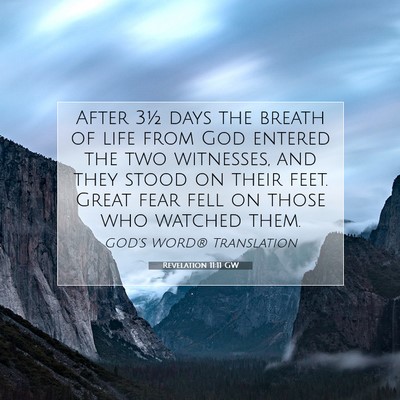 Picture 07 - Revelation 11:11 GW - After 3½ days the breath of life from God - Bible Verse Picture