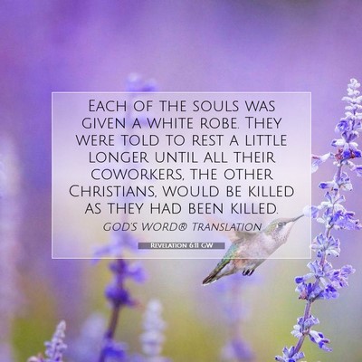 Picture 07 - Revelation 6:11 GW - Each of the souls was given a white robe. They - Bible Verse Picture
