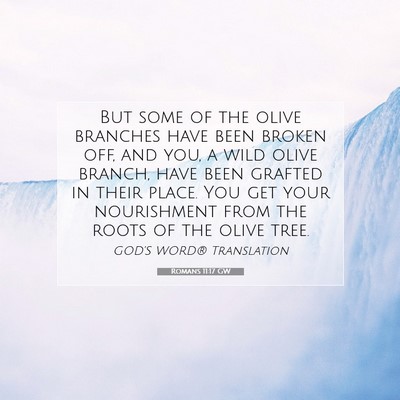 Picture 07 - Romans 11:17 GW - But some of the olive branches have been broken - Bible Verse Picture