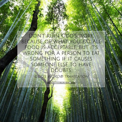 Picture 07 - Romans 14:20 GW - Don’t ruin God’s work because of what you - Bible Verse Picture