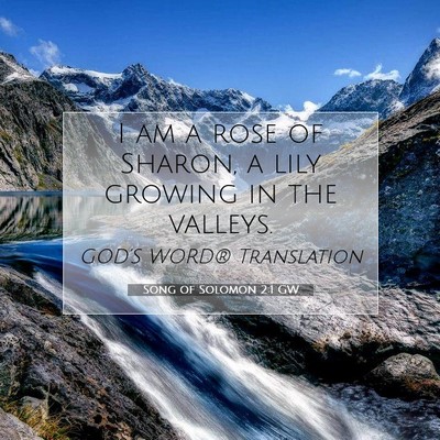 Picture 07 - Song of Solomon 2:1 GW - I am a rose of Sharon, a lily growing in the - Bible Verse Picture