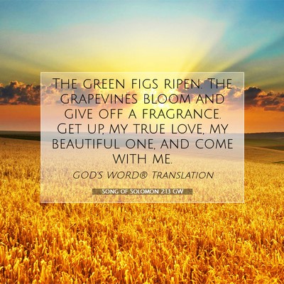 Picture 07 - Song of Solomon 2:13 GW - The green figs ripen. The grapevines bloom and - Bible Verse Picture