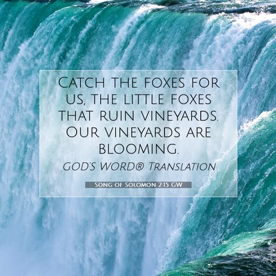 Picture 07 - Song of Solomon 2:15 GW - Catch the foxes for us, the little foxes that - Bible Verse Picture