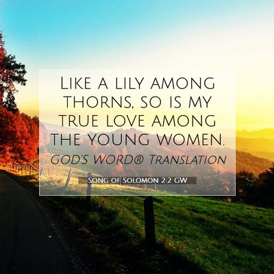 Picture 07 - Song of Solomon 2:2 GW - Like a lily among thorns, so is my true love - Bible Verse Picture