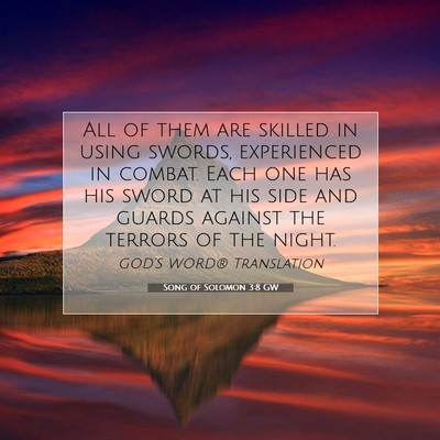 Picture 07 - Song of Solomon 3:8 GW - All of them are skilled in using swords, - Bible Verse Picture