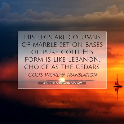 Picture 07 - Song of Solomon 5:15 GW - His legs are columns of marble set on bases of - Bible Verse Picture