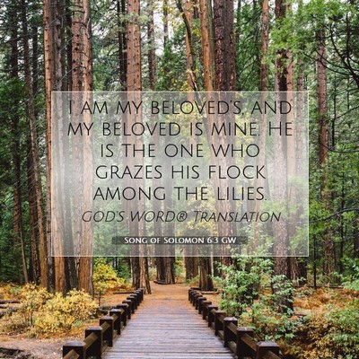 Picture 07 - Song of Solomon 6:3 GW - I am my beloved’s, and my beloved is mine. He - Bible Verse Picture