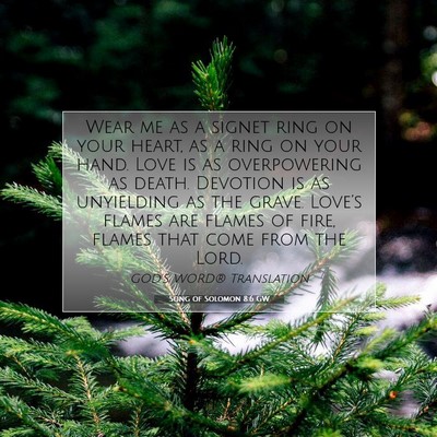 Picture 07 - Song of Solomon 8:6 GW - Wear me as a signet ring on your heart, as a ring - Bible Verse Picture