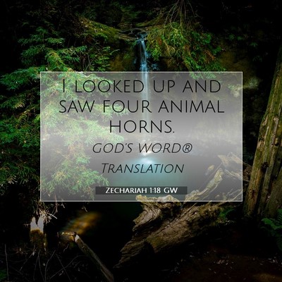 Picture 07 - Zechariah 1:18 GW - I looked up and saw four animal - Bible Verse Picture