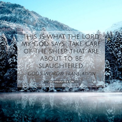 Picture 07 - Zechariah 11:4 GW - This is what the Lord my God says: Take care of - Bible Verse Picture