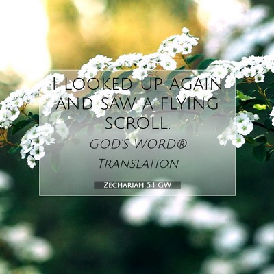 Picture 07 - Zechariah 5:1 GW - I looked up again and saw a flying - Bible Verse Picture