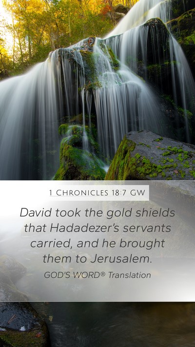 1 Chronicles 18:7 GW Bible Verse Image