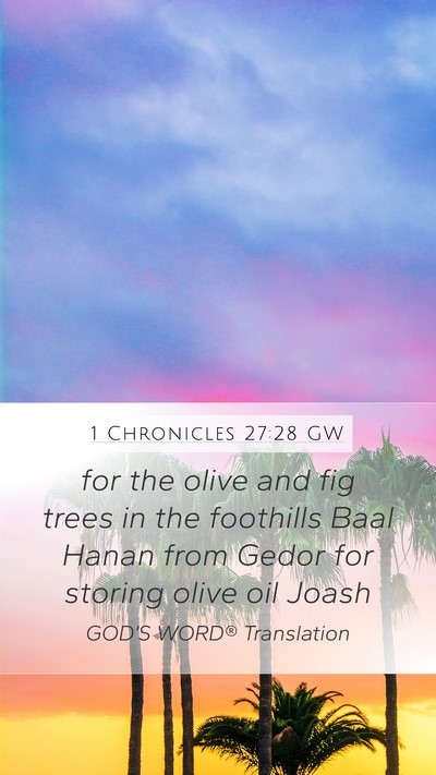 1 Chronicles 27:28 GW Bible Verse Image