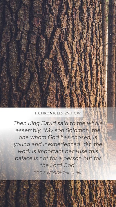 1 Chronicles 29:1 GW Bible Verse Image