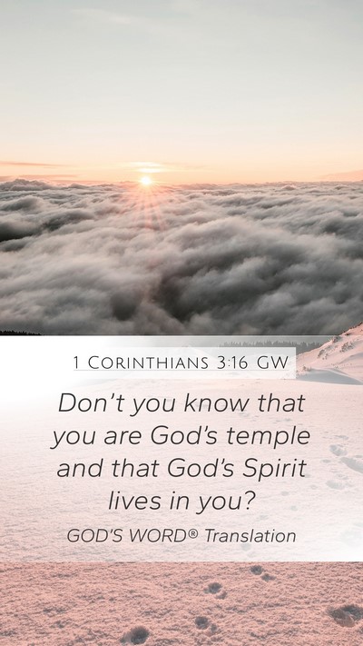 1 Corinthians 3:16 GW Bible Verse Image