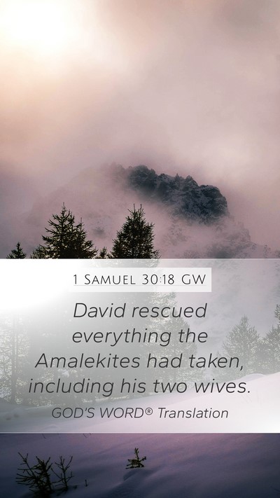 1 Samuel 30:18 GW Bible Verse Image