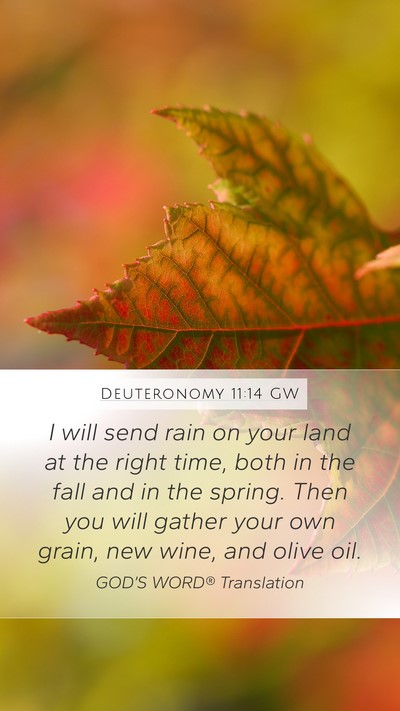 Deuteronomy 11:14 GW Bible Verse Image