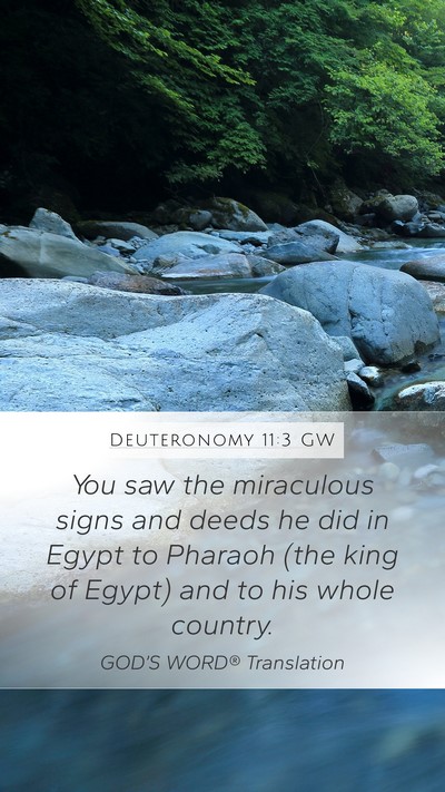 Deuteronomy 11:3 GW Mobile Phone Wallpaper - You saw the miraculous signs and deeds he did in - Mobile Bible Verse Wallpaper