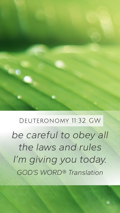 Deuteronomy 11:32 GW Bible Verse Image