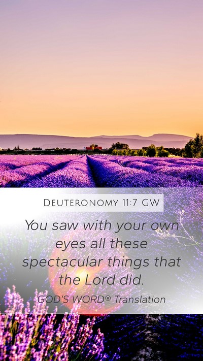 Deuteronomy 11:7 GW Mobile Phone Wallpaper - You saw with your own eyes all these spectacular - Mobile Bible Verse Wallpaper