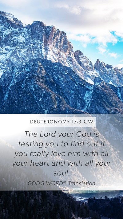 Deuteronomy 13:3 GW Bible Verse Image