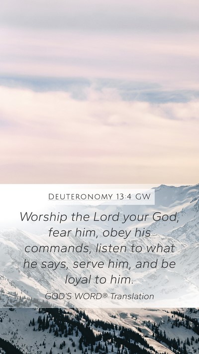 Deuteronomy 13:4 GW Bible Verse Image