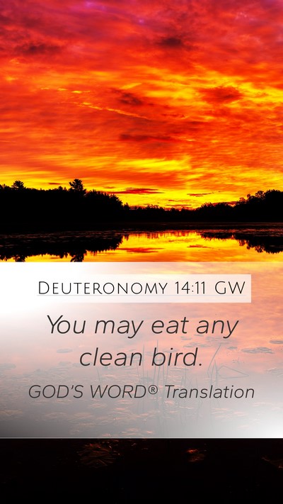 Deuteronomy 14:11 GW Mobile Phone Wallpaper - You may eat any clean - Mobile Bible Verse Wallpaper