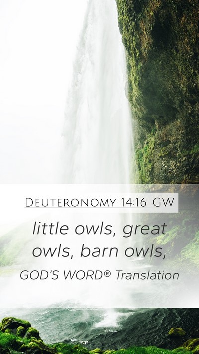 Deuteronomy 14:16 GW Mobile Phone Wallpaper - little owls, great owls, barn - Mobile Bible Verse Wallpaper