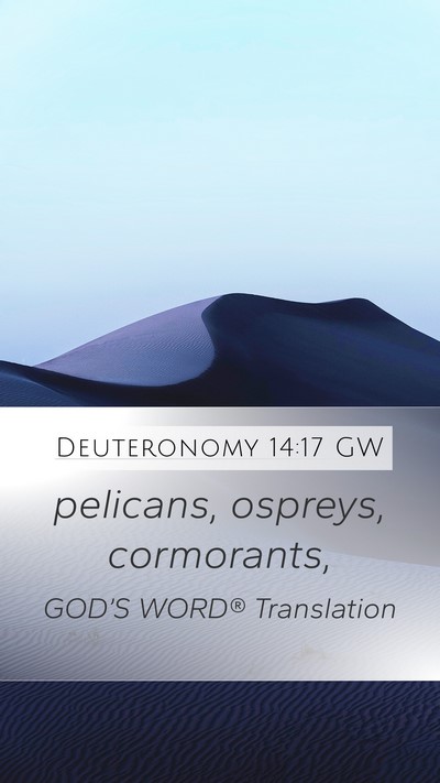 Deuteronomy 14:17 GW Mobile Phone Wallpaper - pelicans, ospreys, - Mobile Bible Verse Wallpaper